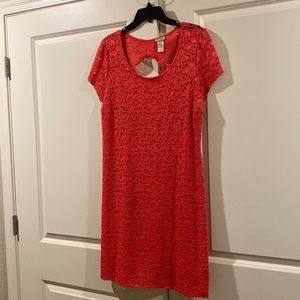 Celine by champion summer dress